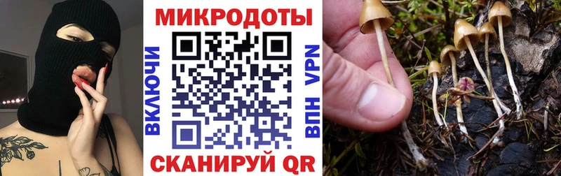Купить закладки  Краснотурьинск  Псилоцибиновые грибы Cubensis 